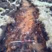 Trial Trench Evaluation Photograph, Post-excavation trench showing natural coverage, A9 Dualling - Tomatin to Moy, Highland