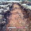 Trial Trench Evaluation Photograph, Post-excavation trench showing natural coverage, A9 Dualling - Tomatin to Moy, Highland