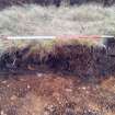 Trial Trench Evaluation Photograph, NE-facing representative section, A9 Dualling - Tomatin to Moy, Highland