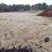 Trial Trench Evaluation Photograph, Pre-excavation view across trench, A9 Dualling - Tomatin to Moy, Highland