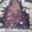 Trial Trench Evaluation Photograph, Post-excavation trench showing natural coverage, A9 Dualling - Tomatin to Moy, Highland