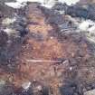 Trial Trench Evaluation Photograph, Post-excavation trench showing natural coverage, A9 Dualling - Tomatin to Moy, Highland