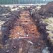 Trial Trench Evaluation Photograph, Post-excavation trench showing natural coverage, A9 Dualling - Tomatin to Moy, Highland