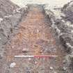 Trial Trench Evaluation Photograph, Post-excavation trench showing natural coverage, A9 Dualling - Tomatin to Moy, Highland