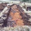 Trial Trench Evaluation Photograph, Post-excavation trench showing natural coverage, A9 Dualling - Tomatin to Moy, Highland