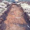 Trial Trench Evaluation Photograph, Post-excavation trench showing natural coverage, A9 Dualling - Tomatin to Moy, Highland