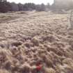 Trial Trench Evaluation Photograph, Pre-excavation view across trench, A9 Dualling - Tomatin to Moy, Highland