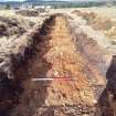 Trial Trench Evaluation Photograph, Post-excavation trench showing natural coverage, A9 Dualling - Tomatin to Moy, Highland