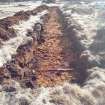 Trial Trench Evaluation Photograph, Post-excavation trench showing natural coverage, A9 Dualling - Tomatin to Moy, Highland