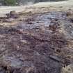 Trial Trench Evaluation Photograph, Trench backfilled, A9 Dualling - Tomatin to Moy, Highland