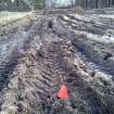 Trial Trench Evaluation Photograph, Pre-excavation view across trench showing disturbance from Wills Bros site, A9 Dualling - Tomatin to Moy, Highland