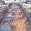 Trial Trench Evaluation Photograph, Post-excavation trench showing natural coverage, A9 Dualling - Tomatin to Moy, Highland