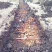 Trial Trench Evaluation Photograph, Post-excavation trench showing natural coverage, A9 Dualling - Tomatin to Moy, Highland