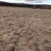 Trial Trench Evaluation Photograph, Pre-excavation view across trench, A9 Dualling - Tomatin to Moy, Highland