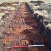 Trial Trench Evaluation Photograph, Post-excavation trench showing natural coverage, A9 Dualling - Tomatin to Moy, Highland