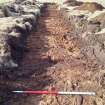 Trial Trench Evaluation Photograph, Post-excavation trench showing natural coverage, A9 Dualling - Tomatin to Moy, Highland