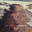 Trial Trench Evaluation Photograph, Post-excavation trench showing natural coverage, A9 Dualling - Tomatin to Moy, Highland