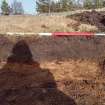 Trial Trench Evaluation Photograph, NE-facing representative section, A9 Dualling - Tomatin to Moy, Highland