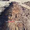 Trial Trench Evaluation Photograph, Post-excavation trench showing natural coverage, A9 Dualling - Tomatin to Moy, Highland