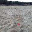 Trial Trench Evaluation Photograph, Pre-excavation view across trench, A9 Dualling - Tomatin to Moy, Highland