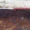 Trial Trench Evaluation Photograph, SW-facing representative section, A9 Dualling - Tomatin to Moy, Highland