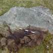 Digital photograph of panel in context with scale, from Scotland's Rock Art Project, Uplands 2, Highland