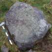 Digital photograph of rock art panel context, Scotland's Rock Art Project, Fodderty 3, Highland