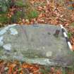 Digital photograph of rock art panel context, Scotland's Rock Art Project, Coul Woods, Highland