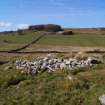 Digital photograph of panel to the west, Scotland's Rock Art Project, Cairnholy 12, Dumfries and Galloway