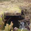 View of remains of now flooded furnace ash removal tunnel system after vegetation removal, Mannheim Oleum Plant, south side