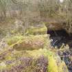 View of remains of now flooded furnace ash removal tunnel system after vegetation removal, Mannheim Oleum Plant, north side