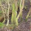 View of flue in baulk between Grillo Oleum Plant and Sulphur Store, Acids Section