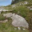 Digital photograph of panel to north, from Scotland's Rock Art Project, Ormaig 2, Kilmartin, Argyll and Bute