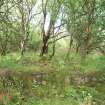 View from the ESE of the ESE end of the basin-like foundation that held the Blow Casks