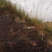 View of remains of individual cement caps to the brick crow steps at the entrance to the Narrow Gauge Railway tunnel (Paste Mixing House W15)