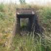 View SSE through the grass-grown narrow gauge railway tunnel (Paste Mixing House W14)