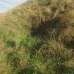 View from the NW of the gash at the foot of the scarp marking the site of a First World War safety shelter (Final Wash House W30)