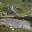 Digital photograph of rock art panel context, Scotland's Rock Art Project, Ormaig 3, Kilmartin, Argyll and Bute