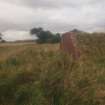 Unbuilt Explosives Magazine at Hill 1: view from the ESE of the brick revetment overlooking the narrow gauge railway line, with the brine tank tower of Nitroglycerine Hill I in the background