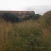 W24: view from the NNW, through the gorse- and grass-grown break in the WW1 blast wall (resulting from the destruction of the original tunnel) to the entrance at the WSW end of the later ammunition magazine