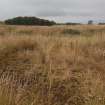 View of the Refrigeration House: the grass-grown floor from the ENE