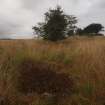 View of a fragment of moss-grown concrete floor (NY 26723 64310) situated in long grass within the Nitroglycerine Hills Compound, which may have formed part of the NNW range