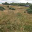 View from the NNW of the darker grass marking the infilled nitroglycerine gutter area approaching the location of now demolished First World War safety shelter in the SSE blast mound (Final Wash House W30)