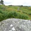 Digital photograph of panel to north, Scotland's Rock Art Project, Strath Sgitheach Allt na Criche 1, Highland