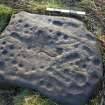 Digital photograph of perpendicular to carved surface(s), from Scotland's Rock Art Project, Cnoc an Teampuill 1, Highland