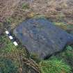 Digital photograph of panel to north, from Scotland's Rock Art Project, Cnoc an Teampuill 1, Highland