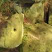 Digital photograph of panel, Scotland's Rock Art Project, Binn 2, Fife