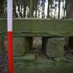 Standing Building Survey photograph, F15, Facing SE, South-West of Slade Farm, Carmyllie, Angus