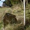 Standing Building Survey photograph, Stone wall dividing field from the site with tall stone slates built in, F33, Facing SW, South-West of Slade Farm, Carmyllie, Angus