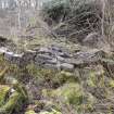 Standing Building Survey photograph, F38 stone pile overgrown (no access), Facing SW, South-West of Slade Farm, Carmyllie, Angus